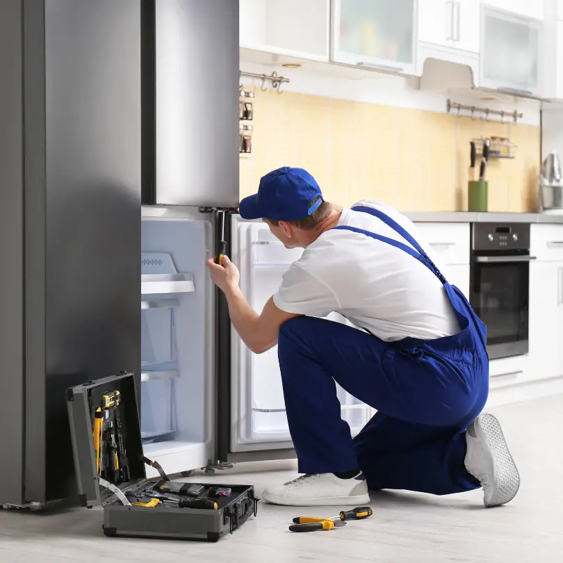 Trabajo e instalaciones — Servicios Lesan